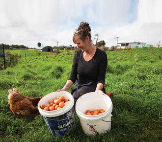 Action in Industry - Free range chickens